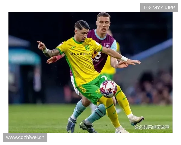 米德尔斯堡季后赛经验助力本赛季英冠升级竞争